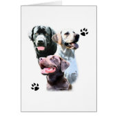 Labrador Retriever Trio (Front)