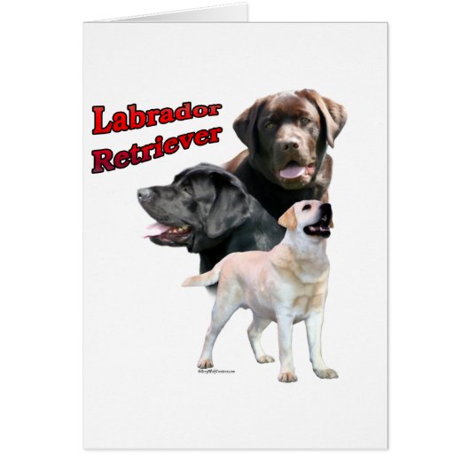 Labrador Retriever Trio 2 Cards (Front)
