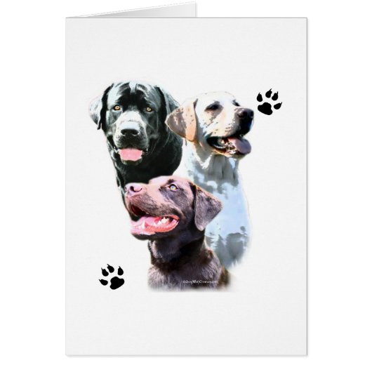 Labrador Retriever Trio Cards (Front)
