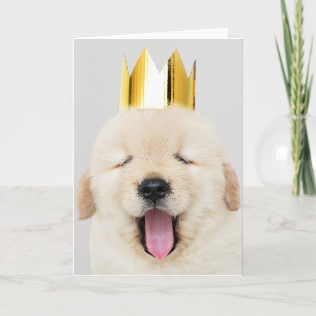 Labrador retriever WITH CROWN Folded Greeting Card (Front)