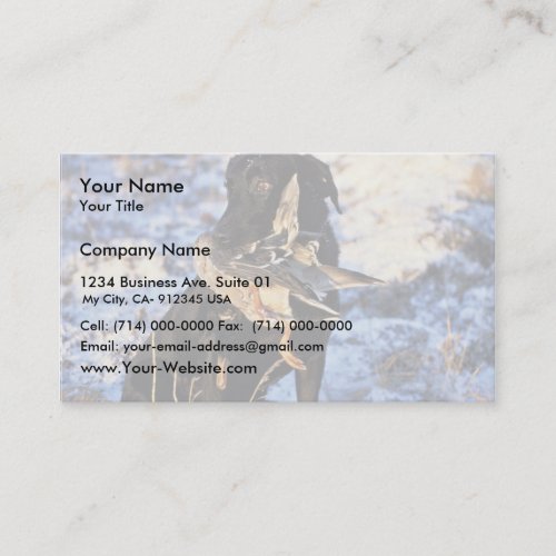 Labrador Retriever with Drake Mallard Business Card Template
