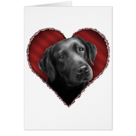 Labrador Retriever with Heart Card