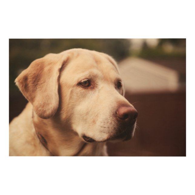 Labrador Retriever Wood Wall Decor (Front)