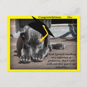 Labrador Retriever yellow Congratulation hats Postcard