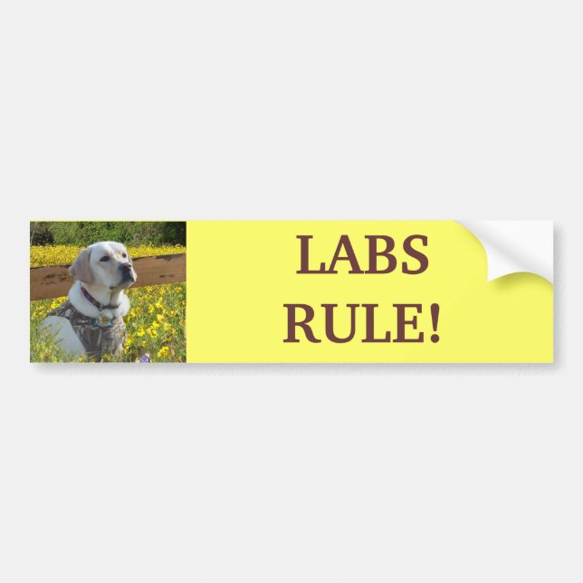 Labrador Retriever Yellow Flowers Bumper Sticker (Front)