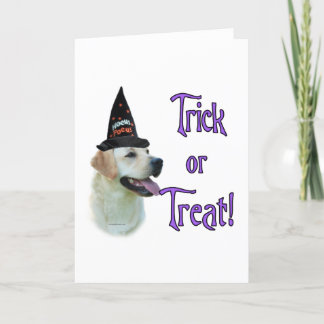Labrador Retriever (yellow)Trick Card