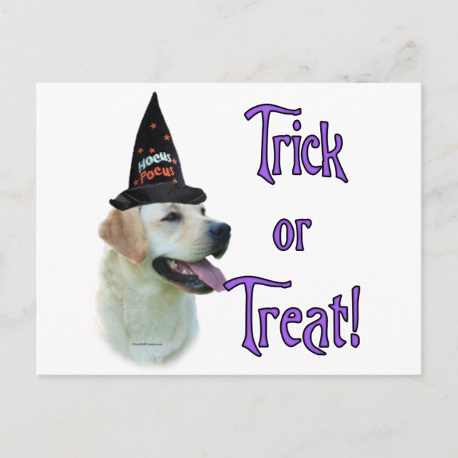 Labrador Retriever (yellow) Trick Postcard (Front)