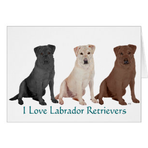 Labrador Retrievers - 3 Colors to Love Cards