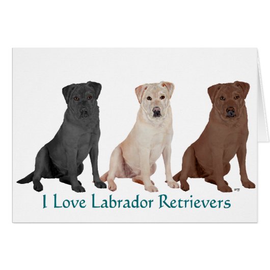 Labrador Retrievers - 3 Colors to Love Cards (Front Horizontal)
