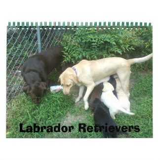 Labrador Retrievers Calendar