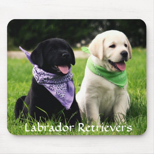 Labrador Retrievers Rule Puppies Mousepad (Front)