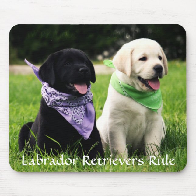 Labrador Retrievers Rule Puppies Mousepad (Front)