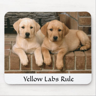 Labrador Retrievers Rule Puppies Mousepad