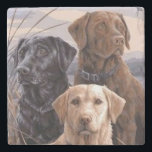 Labrador Retrievers Stone Coaster<br><div class="desc">This is a Very Cute Labrador Retrievers Stone Coaster</div>