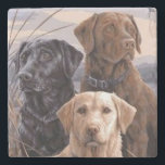 Labrador Retrievers Stone Coaster<br><div class="desc">This is a Very Cute Labrador Retrievers Stone Coaster</div>