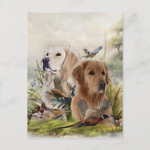 Labrador Retrievers with Pheasant ,Art Postcard
