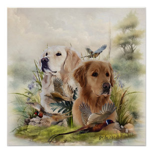 Labrador Retrievers with Pheasant ,Art  Poster