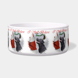 Labrador Rretriever Believe Christmas Bowl