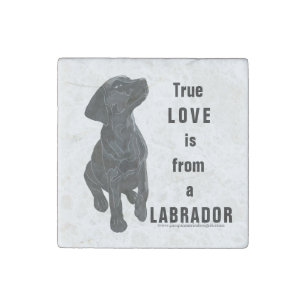 Labrador Stone Magnet