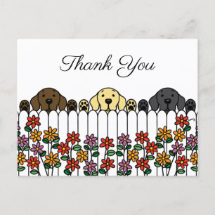 Labrador Trio Watching You Thank You Postcard