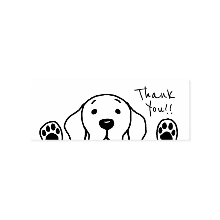 Labrador Watching Thank You Stamp Zazzle