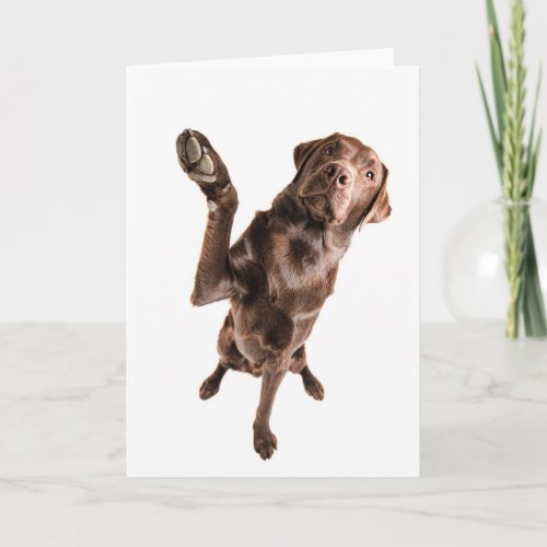 Labrador with a Big High Five Card