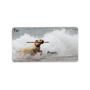 Labrador - Yellow - Go Fetch! Label