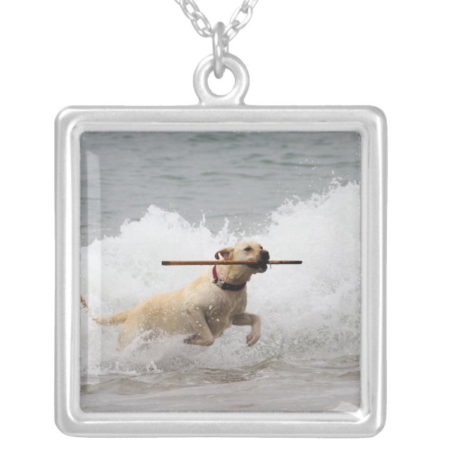Labrador - Yellow - Go Fetch! Silver Plated Necklace (Front)