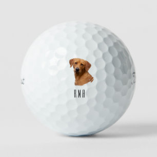 Labrador Yellow Lab Golf Balls