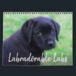 Labradorable Labs - Black Labrador Retriever Calendar<br><div class="desc">Enjoy 12 months of the cutest Black Labrador's! 
Every month there's a new labrador dog or puppy to enjoy.
COPYRIGHT © 2020 Judy Burrows,  Black Dog Art - All Rights Reserved</div>