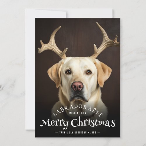 Labradorable Wishes Merry Christmas Text Dog  Holiday Card