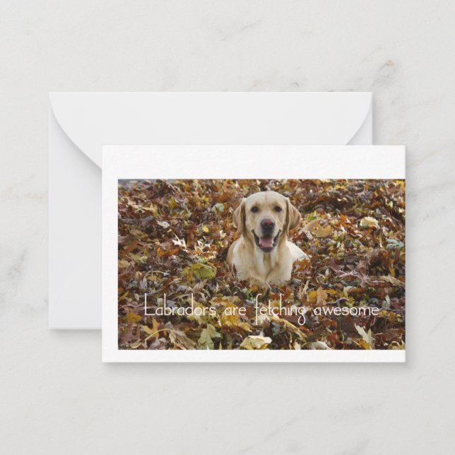 Labradors are Fetching Awesome Note Card (Front)