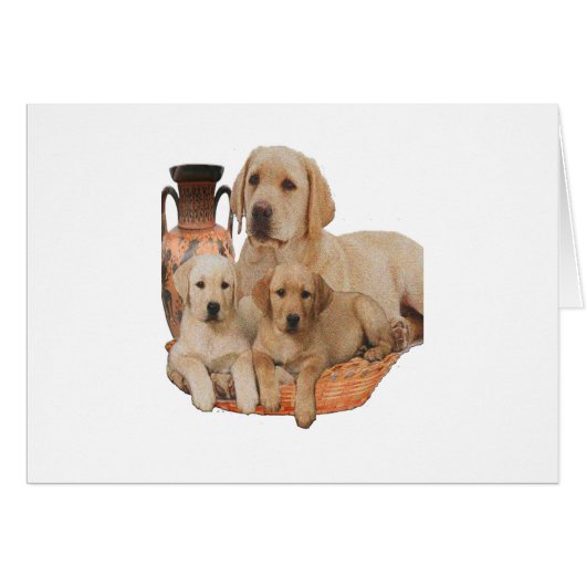 Labrardor retriever merchnandise cards (Front Horizontal)