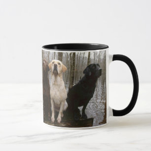 Labs Mug