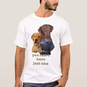Labs T-Shirt