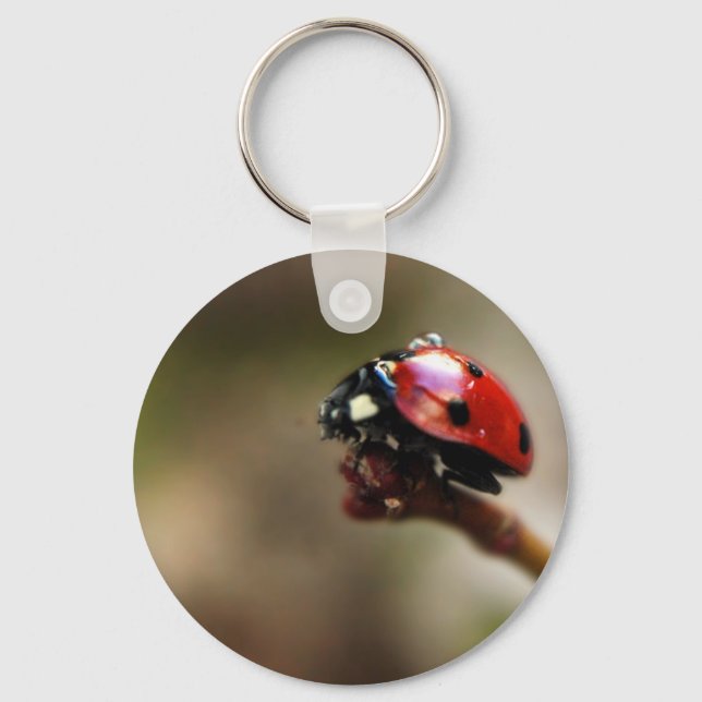 LABYBIRD KEYCHAIN (Front)