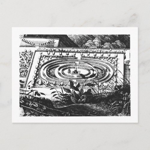 Labyrinth at Heidelberg Hortus Palatinus engravi Postcard