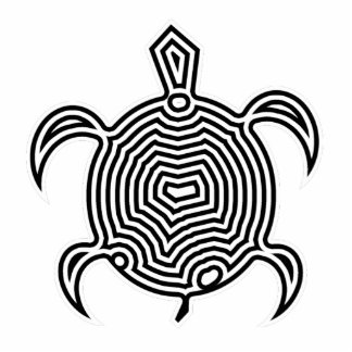 Labyrinth Turtle Photo Sculpture
