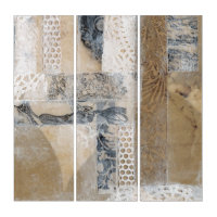 Lace Collage I