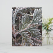 Lace on twigs (Standing Front)