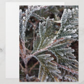 Lace on twigs (Front/Back)