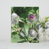 lace over thistle (Standing Front)