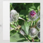 lace over thistle (Front/Back)
