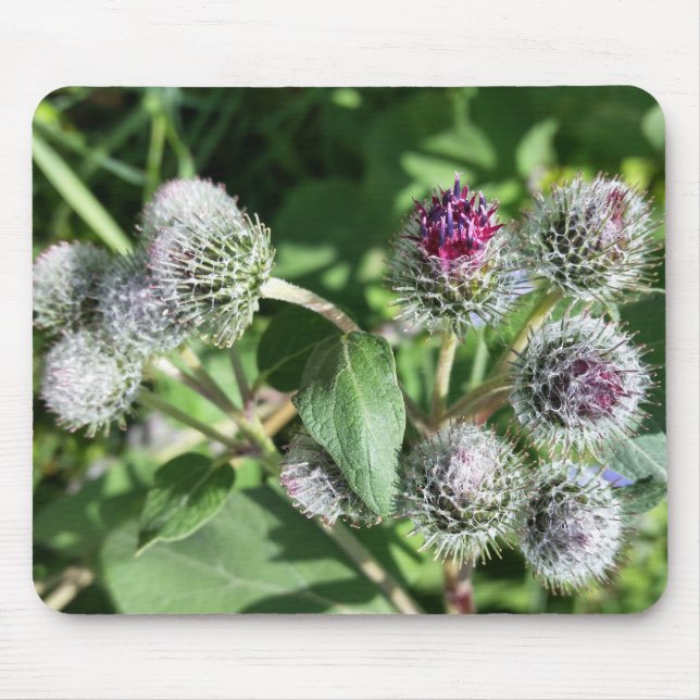 lace over thistle mouse pad (Front)