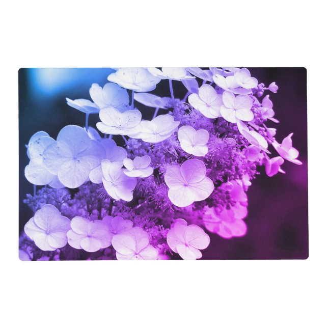 Lacecap Hydrangea Black And White Color Tint Placemat (Front)