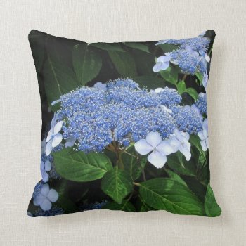 Lacecap Hydrangea ~ Pillow by Andy2302 at Zazzle