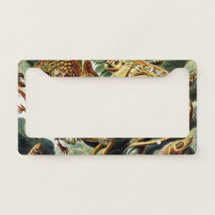 Lacertilia Lizards by Ernst Haeckel License Plate Frame