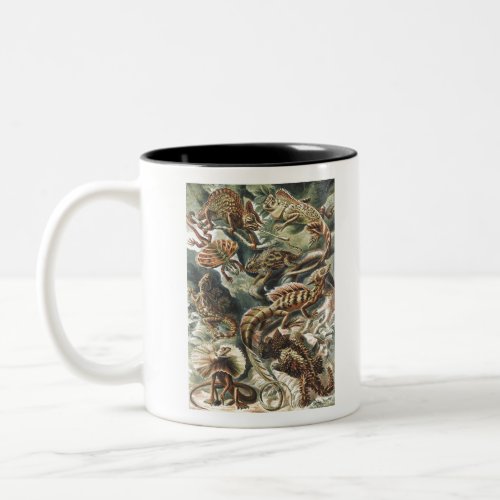 Lacertilia Lizards Two_Tone Coffee Mug