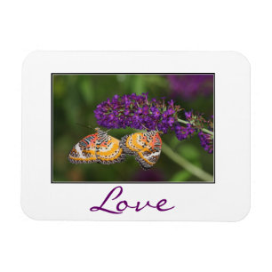 Lacewing  Butterfly Duet Magnet