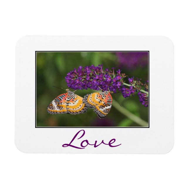 Lacewing  Butterfly Duet Magnet (Horizontal)